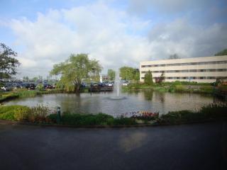 DSC03475.JPG