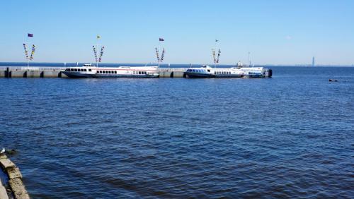 040_Прибытие в Петергоф.JPG