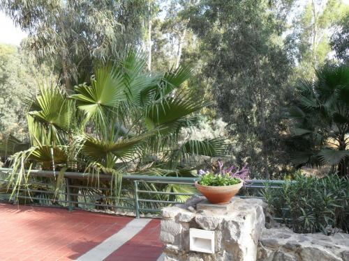 158_10.11.16_14-13_Река Иордан.JPG