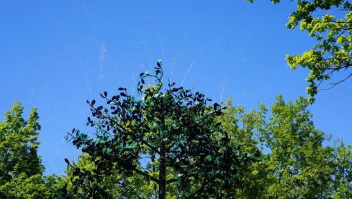 404_Петергоф_ фонтаны шутихи.JPG