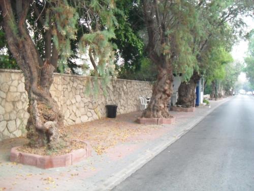 003_10.11.21_07-19_Герцлия_район Форума.JPG