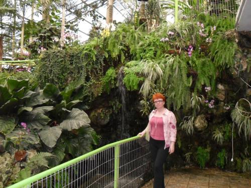 062_10.11.17_10-57_парк орхидей Утопия.JPG