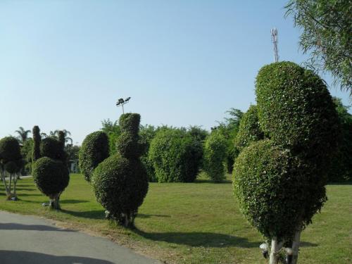 079_10.11.17_11-06_парк орхидей Утопия.JPG