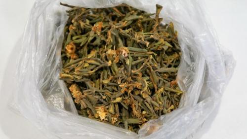 Чай Сага Дайля.JPG