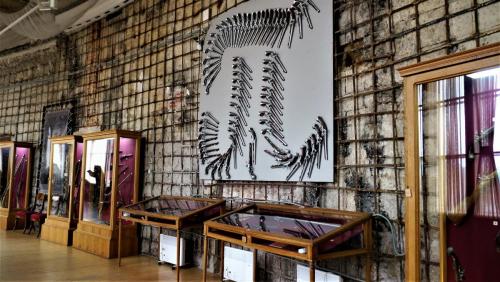 136_Оружейная галерея.JPG