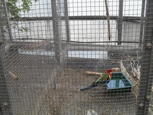 208_10.11.17_11-48_парк орхидей Утопия.JPG