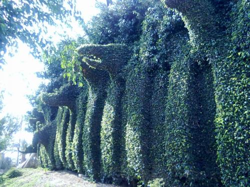 137_10.11.17_11-34_парк орхидей Утопия_лабиринт.jpg