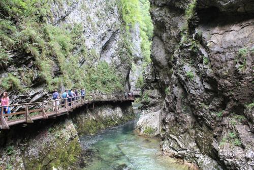 август 2015 4489.jpg