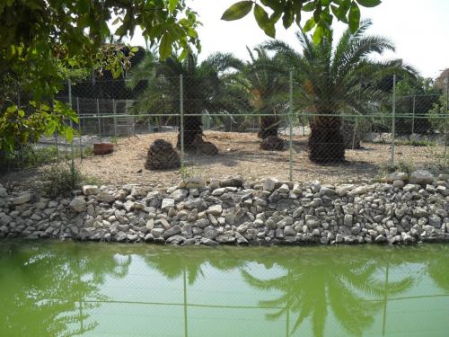 090_10.11.17_11-11_парк орхидей Утопия.JPG