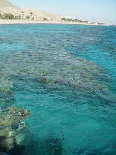 064_10.11.23_Эйлат_аквариум_красное море.JPG