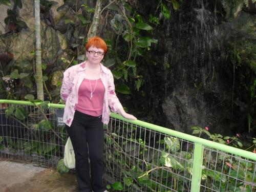 218_10.11.17_11-52_парк орхидей Утопия.JPG