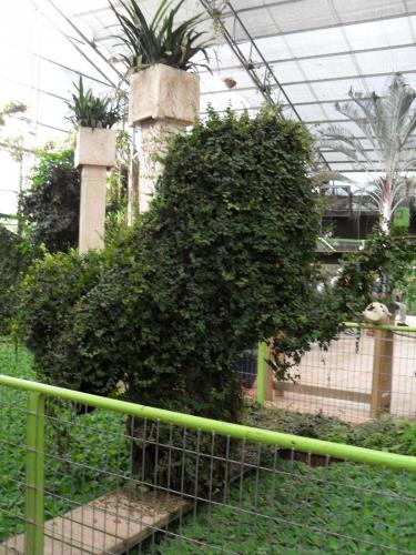 068_10.11.17_11-00_парк орхидей Утопия.JPG