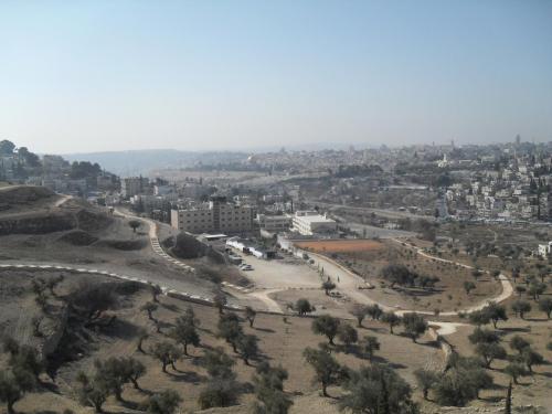 028_10.11.21_10-49_Иерусалим_Храмовая гора.JPG