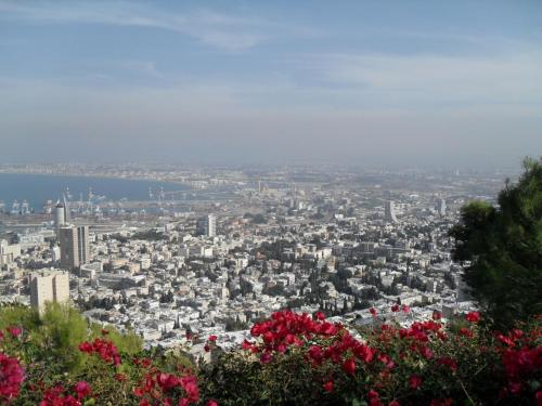 178_10.11.25_13-21_Хайфа с птичьего полета.JPG