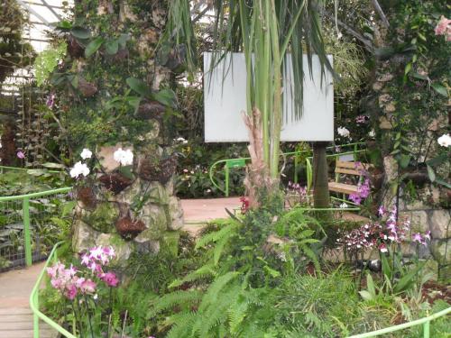 053_10.11.17_10-54_парк орхидей Утопия.JPG