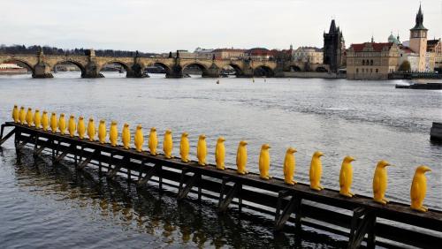 17.11.25_072_Скульптура Скульптура Марш пингвинов через Влтаву (34шт).JPG