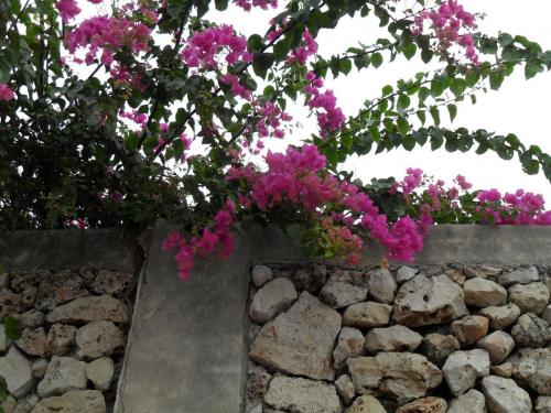 002_10.11.16_08-10_На остановке Форум.JPG