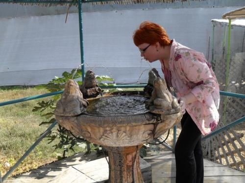 072_10.11.17_11-02_парк орхидей Утопия.JPG