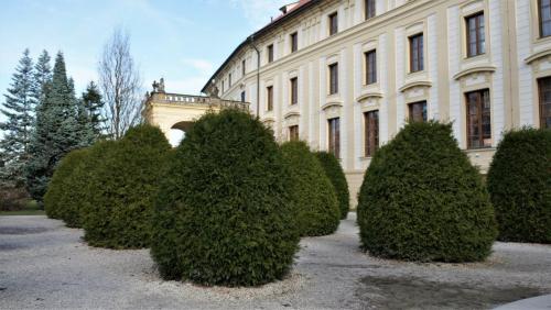 17.11.24_039_Королевский дворик.JPG