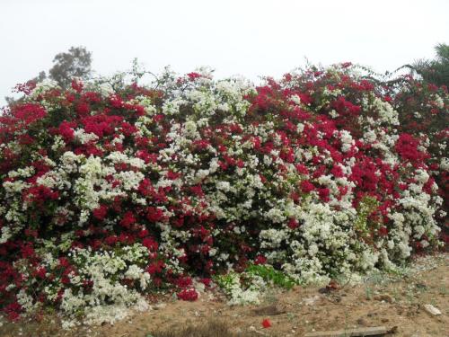 001_10.11.16_07-57_По дороге на Форум.JPG