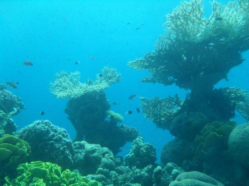 070_10.11.23_Эйлат_красное море.JPG