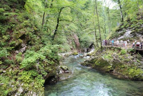 август 2015 4214.jpg