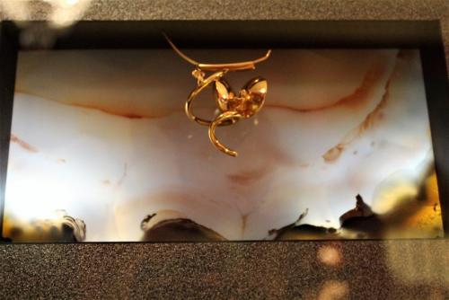 263_Выставка Карла Инауена_2.JPG