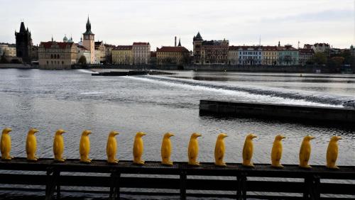 17.11.25_069_Скульптура Скульптура Марш пингвинов через Влтаву (34шт).JPG