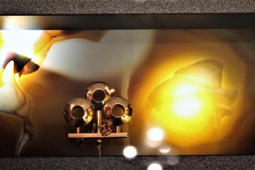 270_Выставка Карла Инауена_3.JPG