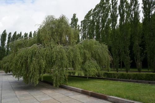 14.05.11_016_Берлин_Трептов парк.JPG