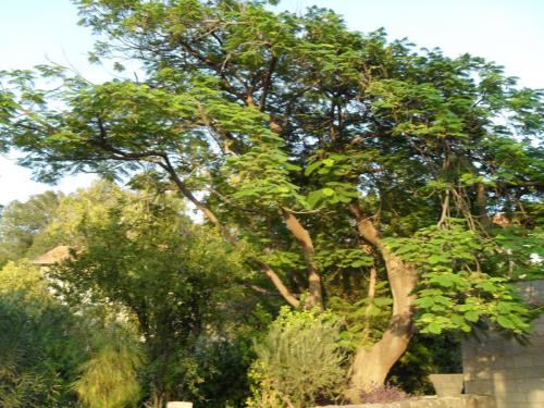 201_10.11.16_16-21_Церковь Преумножения_отъезд.JPG