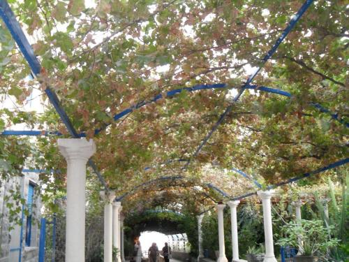 205_10.11.16_16-35_Церковь св.Петра и Павла.JPG