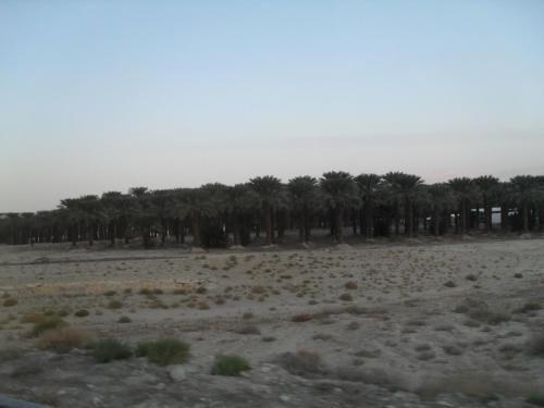 149_10.11.20_16-15_дорога домой.JPG