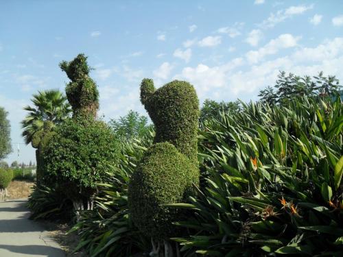 076_10.11.17_11-05_парк орхидей Утопия.JPG