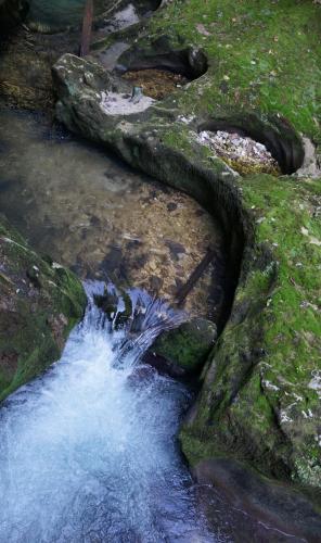 DSC06754 — копия.JPG