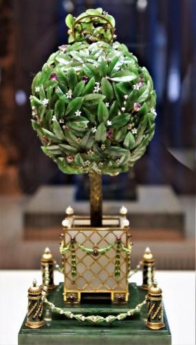 060_Лавровое дерево_5.JPG