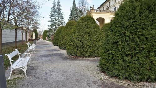 17.11.24_038_Королевский дворик.JPG