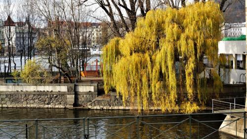 17.11.25_113_Масарикова набережная.JPG