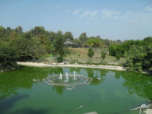 133_10.11.17_11-28_парк орхидей Утопия.JPG