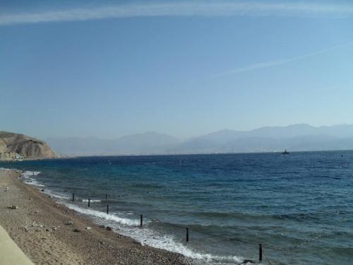 028_10.11.23_Эйлат_Красное море.JPG