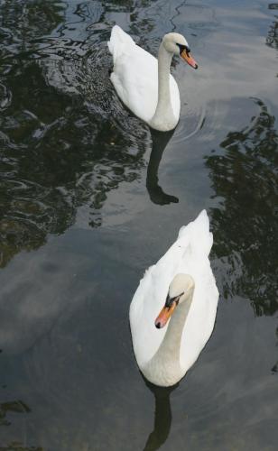 DSC07124 — копия.JPG