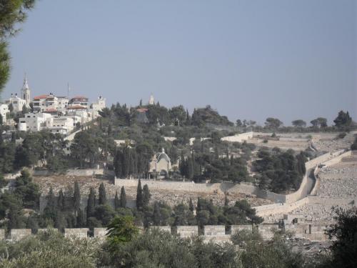 170_10.11.21_13-49_Иерусалим_Маслиничная гора_Церковь Доминус Флевит.JPG
