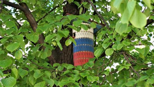 044_Пушкинская ул_ Пушкинский сквер.JPG