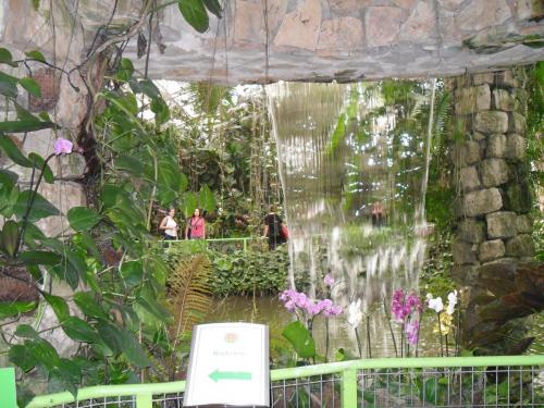 040_10.11.17_10-50_парк орхидей Утопия.JPG