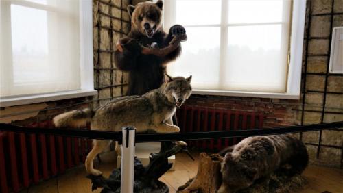 143_Оружейная галерея.JPG