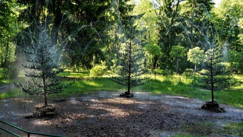 420_Петергоф_ фонтаны шутихи.JPG