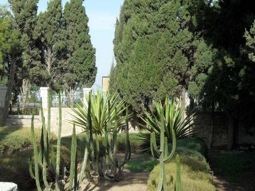 176_10.11.25_13-10_Хайфа_У Монастыря кармелиток Стелла Морис.JPG