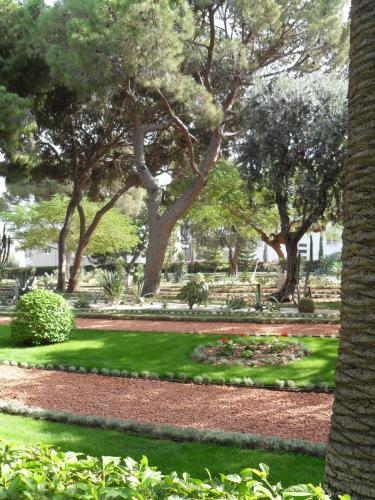 090_10.11.25_12-03_Хайфа_Бахайские сады.JPG