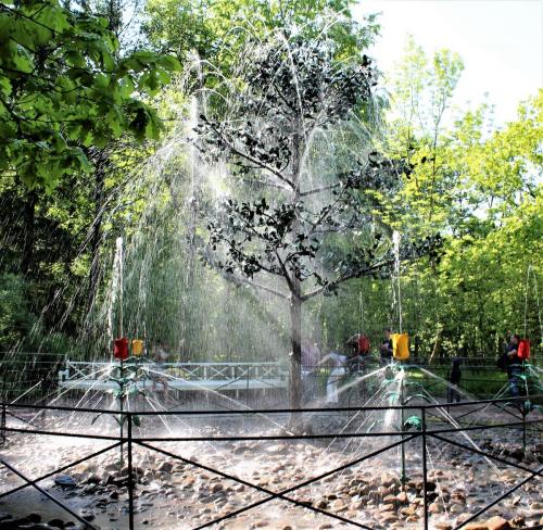 412_Петергоф_ фонтаны шутихи.JPG