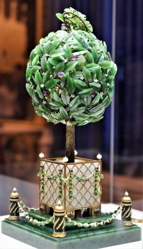 060_Лавровое дерево_3.JPG